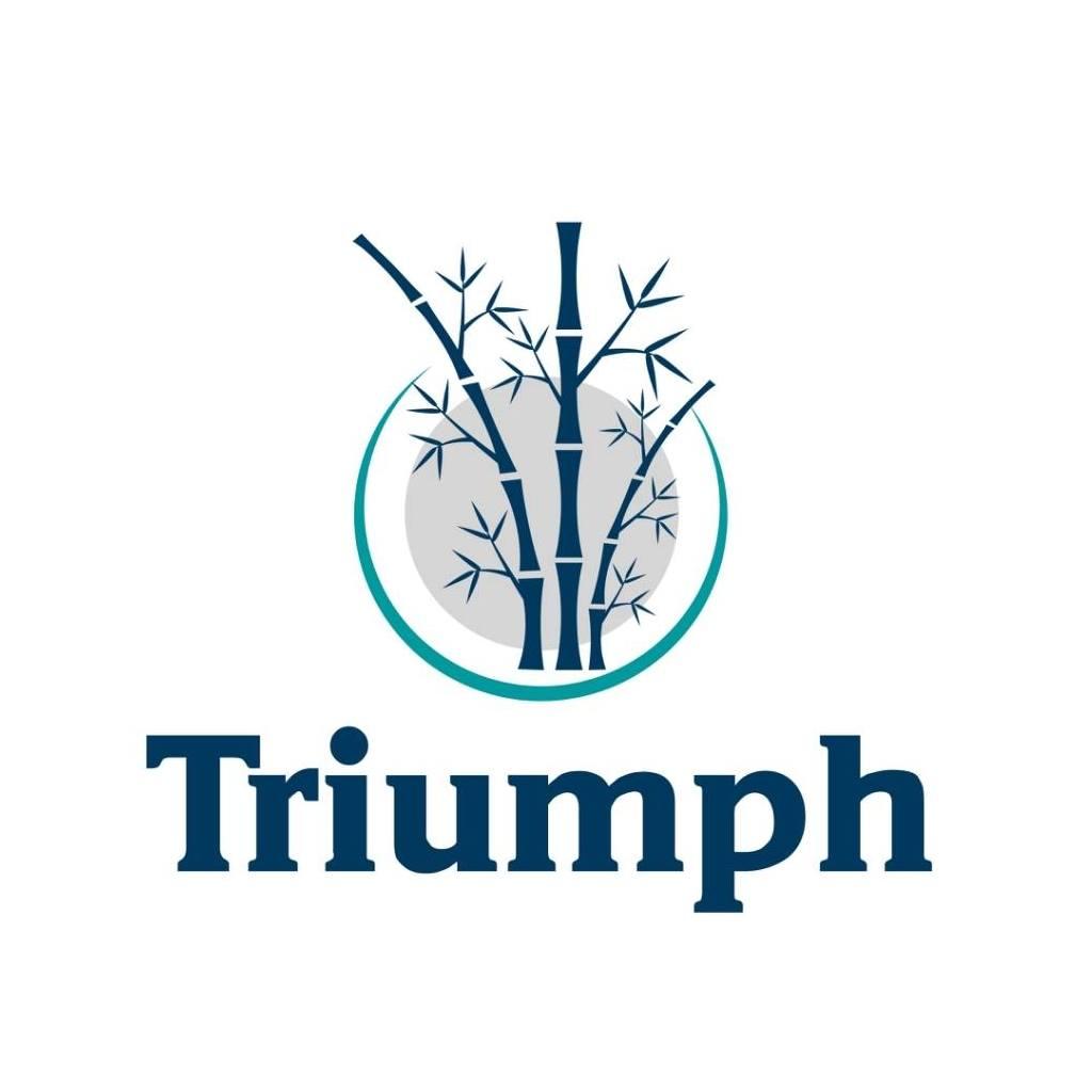 Triumph Business Solutions